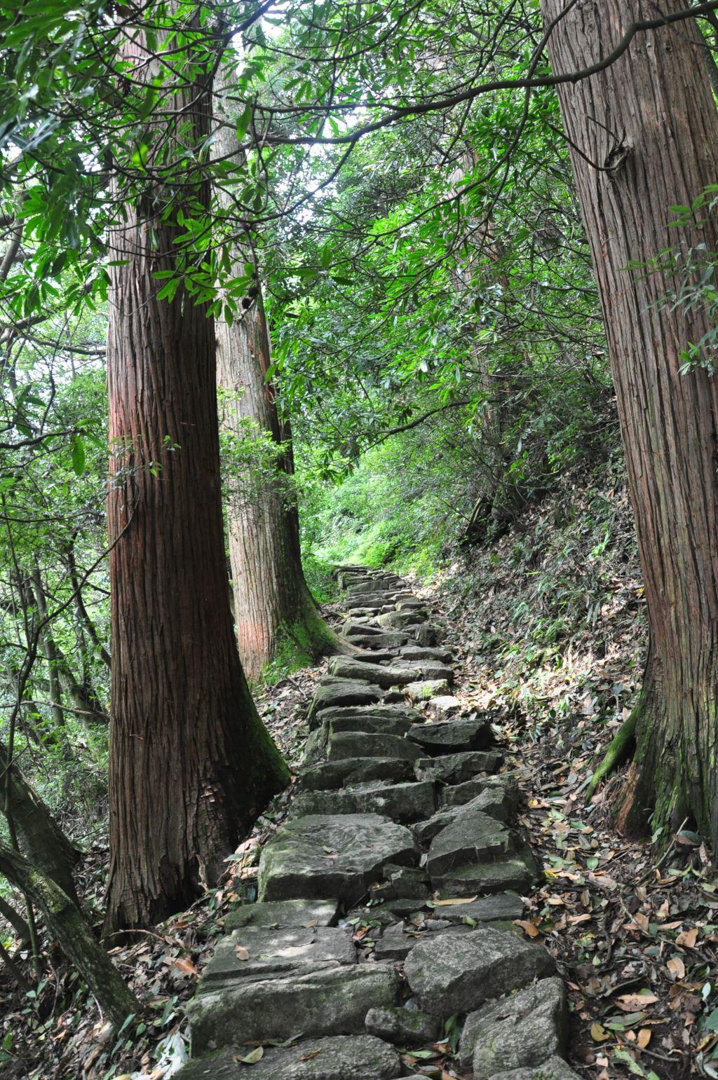 临安天目山
